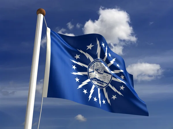 Buffalo City Flag — Stock Photo, Image