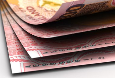 Yeni Zelanda Doları portre