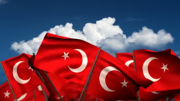 Turkse vlaggen te zwaaien — Stockvideo
