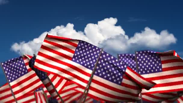 Waving American Flags — Stock Video