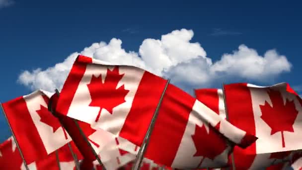 Vifta med kanadensiska flaggor — Stockvideo