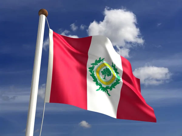 Bandera de Raleigh City — Foto de Stock