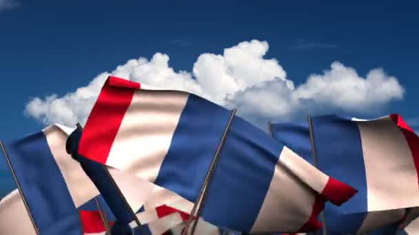 Fransız bayrakları sallayarak — Stok video