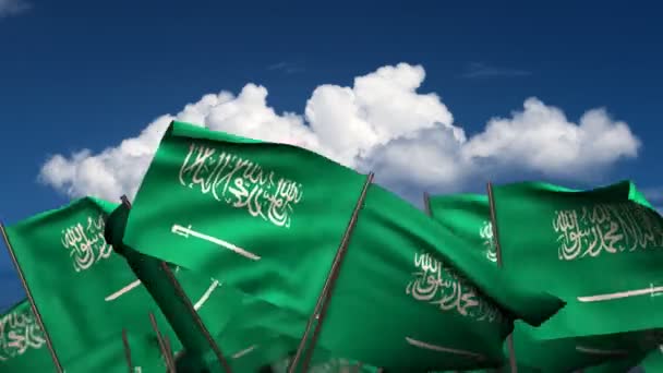 Wymachując flagami Arabii Saudyjskiej — Wideo stockowe
