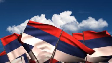 Sırp bayraklar sallayarak