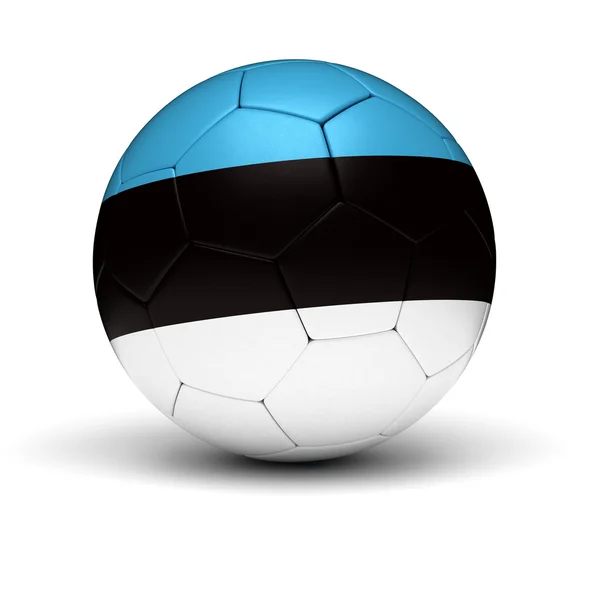 エストニア語のフットボール — ストック写真