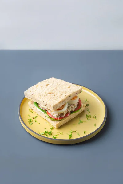 Sandwich au thon sain aux œufs tomate et salade en assiette jaune sur fond gris tendance — Photo