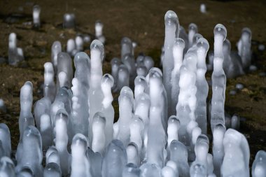 Sarkıtlar tepeden tırnağa büyüyor.                               