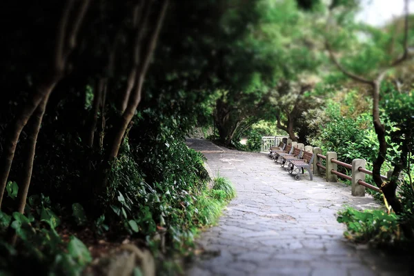 Jeongbang Falls Egy Híres Turisztikai Látványosság Jeju Szigetén — Stock Fotó