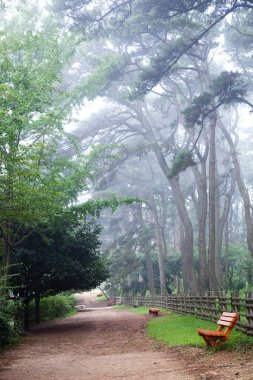 Daewangam Park, Kore 'de ünlü bir parktır..