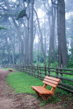 Daewangam Park, Kore 'de ünlü bir parktır..