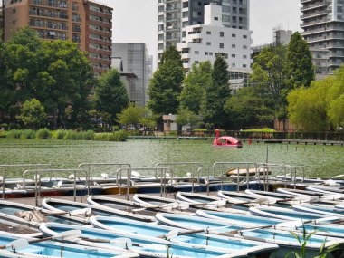 Japonya 'daki Park Gölü.