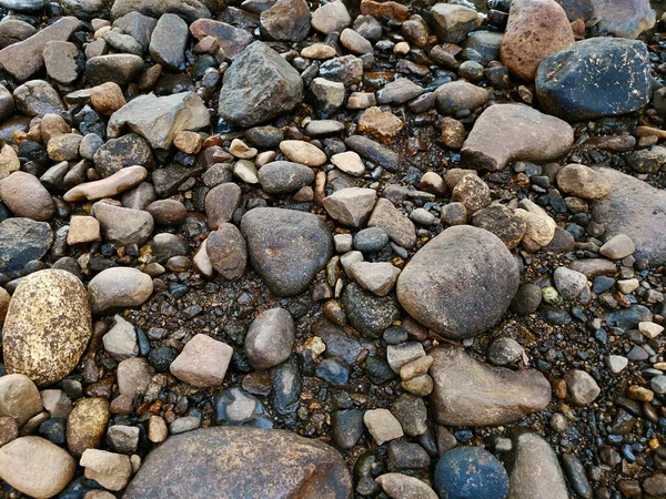 Slät Flodsten Ligger Marken Nära Floden Stranden — Stockfoto