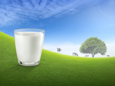 Bardaktaki taze süt ve çimenlikteki inekle bulanık manzara. Sağlıklı beslenme. Kırsal tarzda. Tasarım için boşluk