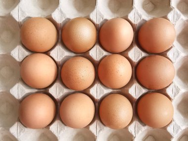 boş yumurta kağıt Masası en iyi bakmak ve beyaz arka plan üzerinde izole