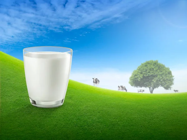 鲜牛奶在玻璃杯里 风景朦胧 草地上放着奶牛 健康饮食 乡村风格 设计空间 — 图库照片