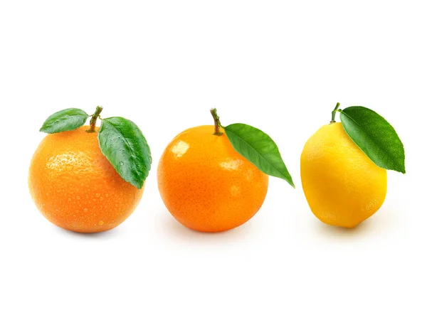 Agrumes Orange Citron Isolé Sur Fond Blanc Collecte — Photo