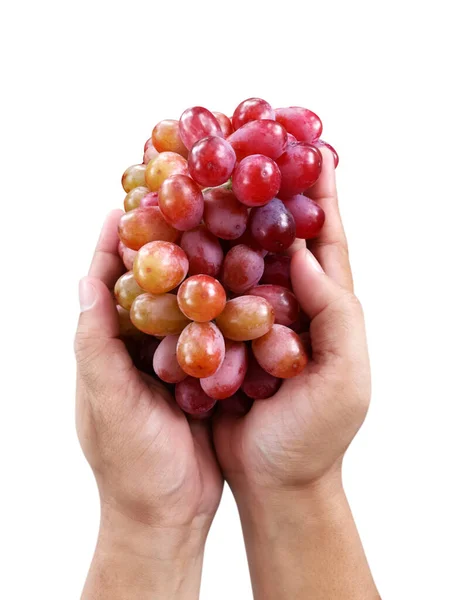 白の背景に隔離されたブドウ果実 — ストック写真