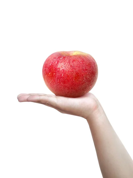 手牵着一个白色背景的苹果 — 图库照片