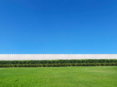 Kopya alanı ile beyaz arka plan üzerinde izole boş arka bahçe