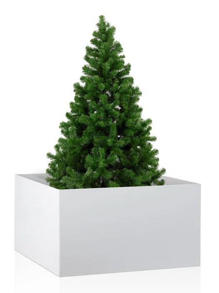 Kutudaki Noel Ağacı Beyaz Arkaplanda Izole Edilmiş — Stok fotoğraf