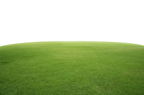Zielona Trawa Trawnik Białym Tle — Zdjęcie stockowe