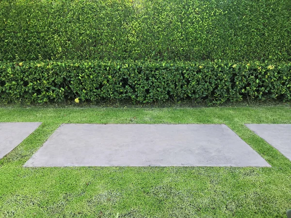 yeşil çimen ve çit