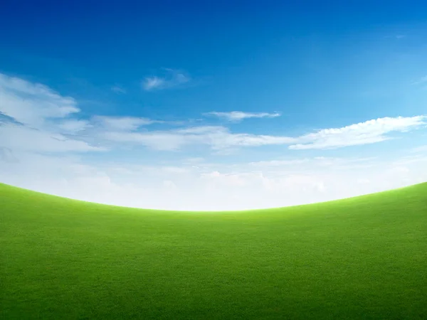 Green Green Grass Field Bright Blue Sky — Stock Fotó