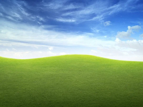 Grüne Wiese Und Strahlend Blauer Himmel — Stockfoto