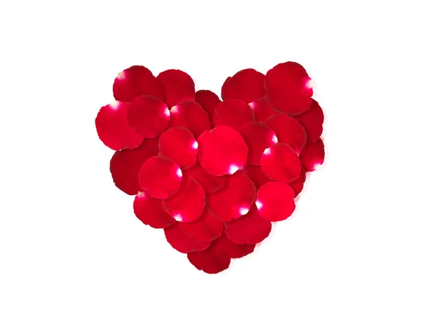 Coração Vermelho Pétalas Rosa Isolado Fundo Branco — Fotografia de Stock