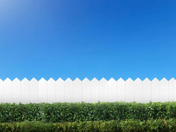 Fehér Kerítés Zöld Bokor Tiszta Kék Háttér Zöld Levelek Fal — Stock Fotó