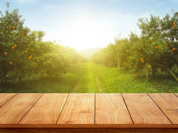 Asztal Hely Szabad Hely Dekoráció Narancs Fák Gyümölcsök Napfényben — Stock Fotó