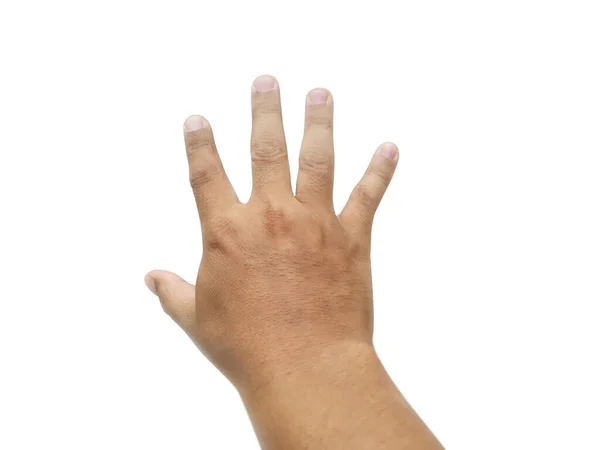 Мужская Рука Белом Фоне — стоковое фото