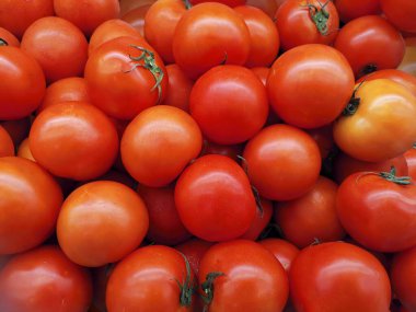 Lezzetli kırmızı domatesler. Yaz tepsisi tarım çiftliği organik sebzelerle dolu Arka plan olarak kullanılabilir