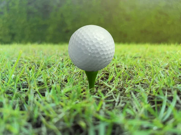 Golfbal Een Tee Tegen Golfbaan Ochtend — Stockfoto