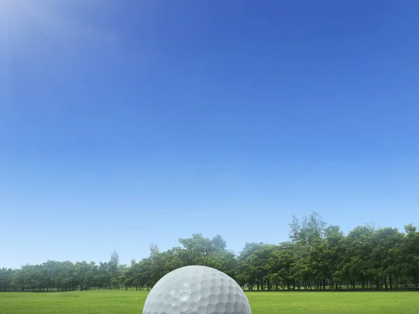 Golfball Auf Grünem Gras Auf Einem Wunderschönen Golfplatz Thailand Golfball — Stockfoto