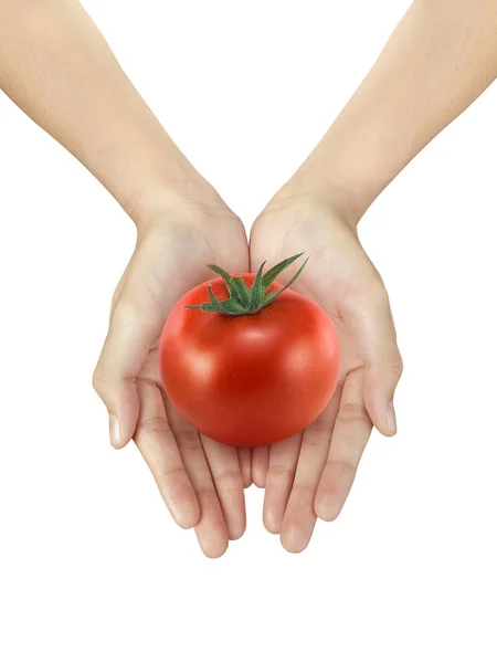 Piękna Kobieta Trzyma Świeży Pomidor Białym Odizolowanym Tle — Zdjęcie stockowe
