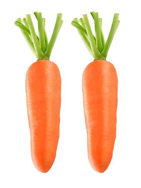 Carrot Isolated Withe Background — Stock Photo, Image