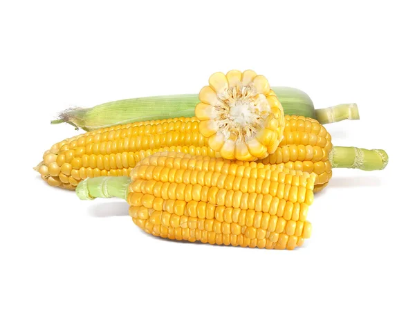 Corn Isolated White Background — Stock Photo, Image