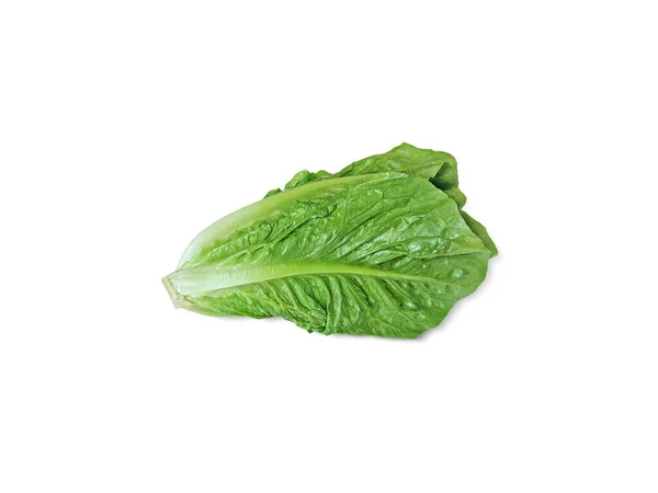 Frisch Grüne Salatblätter Salatblatt Isoliert Auf Weißem Hintergrund Mit Schnittpfad — Stockfoto
