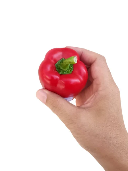 Mano Sosteniendo Pimiento Rojo Aislado Sobre Fondo Blanco —  Fotos de Stock