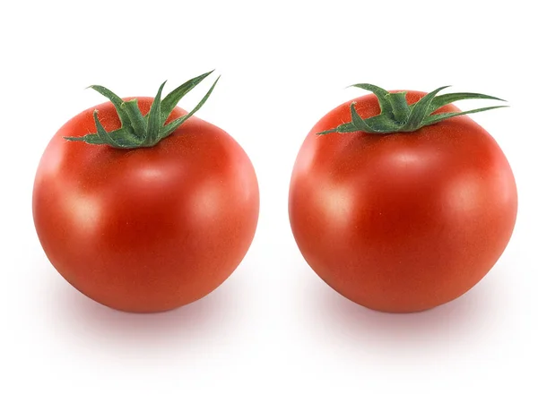 Pomidor Izolowany Withe Tle — Zdjęcie stockowe