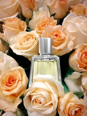 Gül duvarındaki parfüm şişesi renklidir.