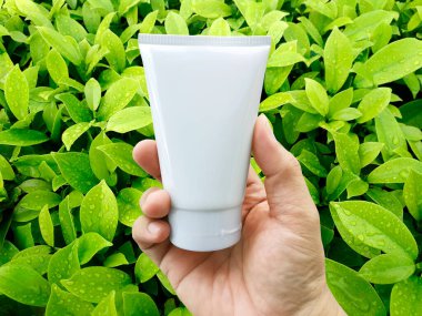 Yağmur damlalı doğal yeşil yapraklar