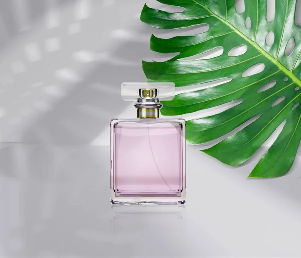 perfume bottle product advertisement, with monstera leaf background. 3d render