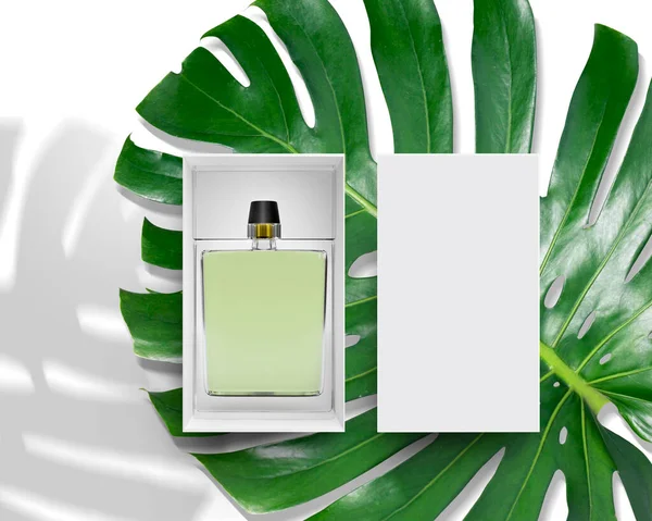 perfume bottle product advertisement, top view with monstera leaf background. 3d render