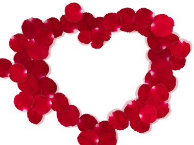 Beyaz gül yapraklarından güzel bir kalp.