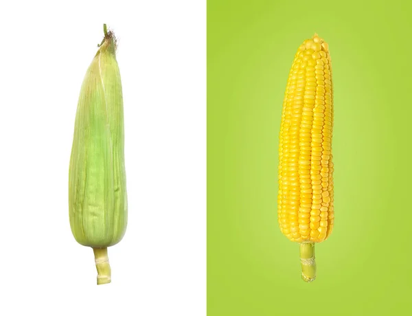 Creative Layout Made Flat Laying Corn Food Concept Vegetables Isolated — Fotografia de Stock