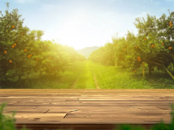 Empty Wooden Table More Space Orange Trees Orange Field Background — Stockfoto