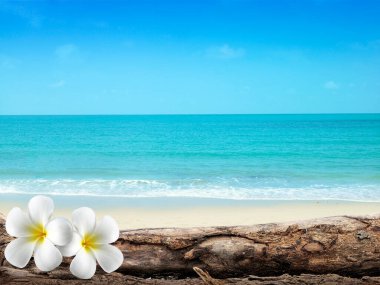 Plumeria 'nın beyaz kumları ve açık mavi gökyüzü üzerindeki güzel mavi denizi.